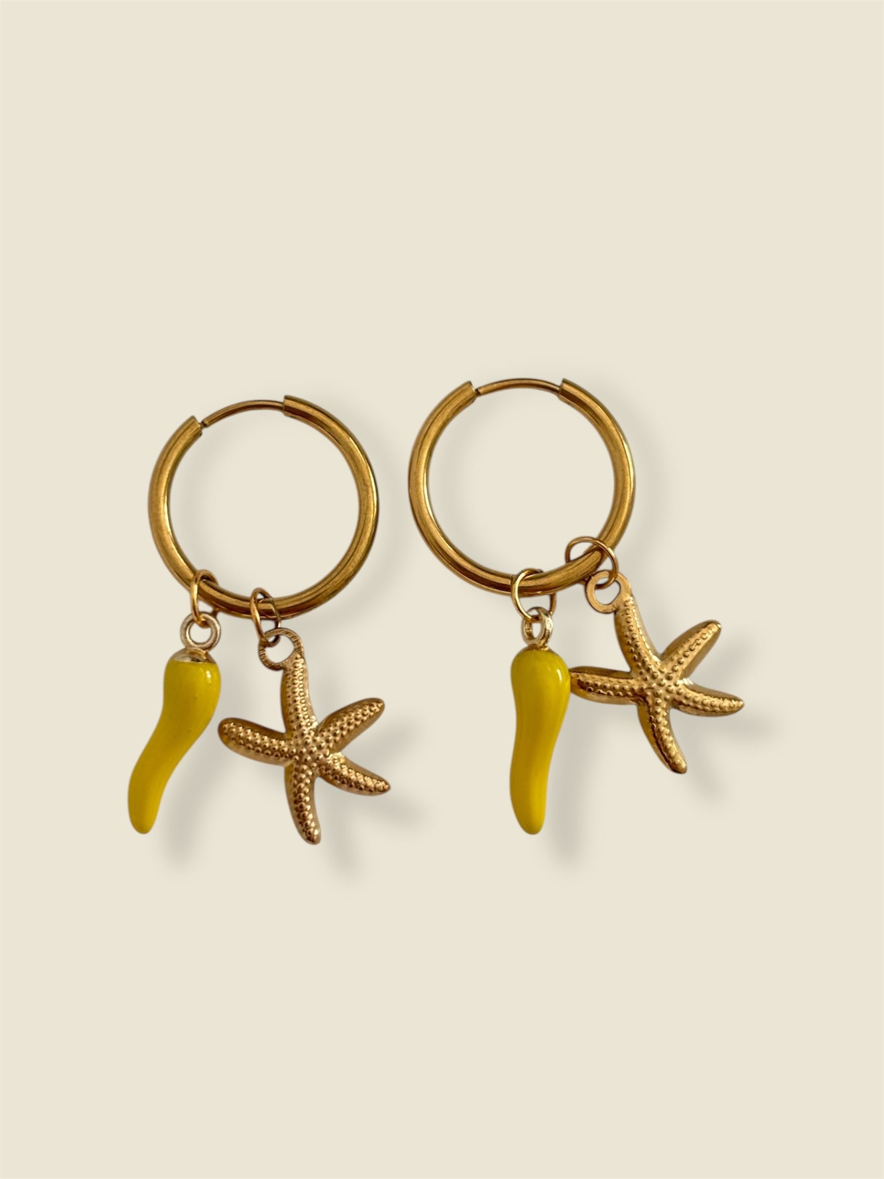 Boucles Charms «HAVANA»