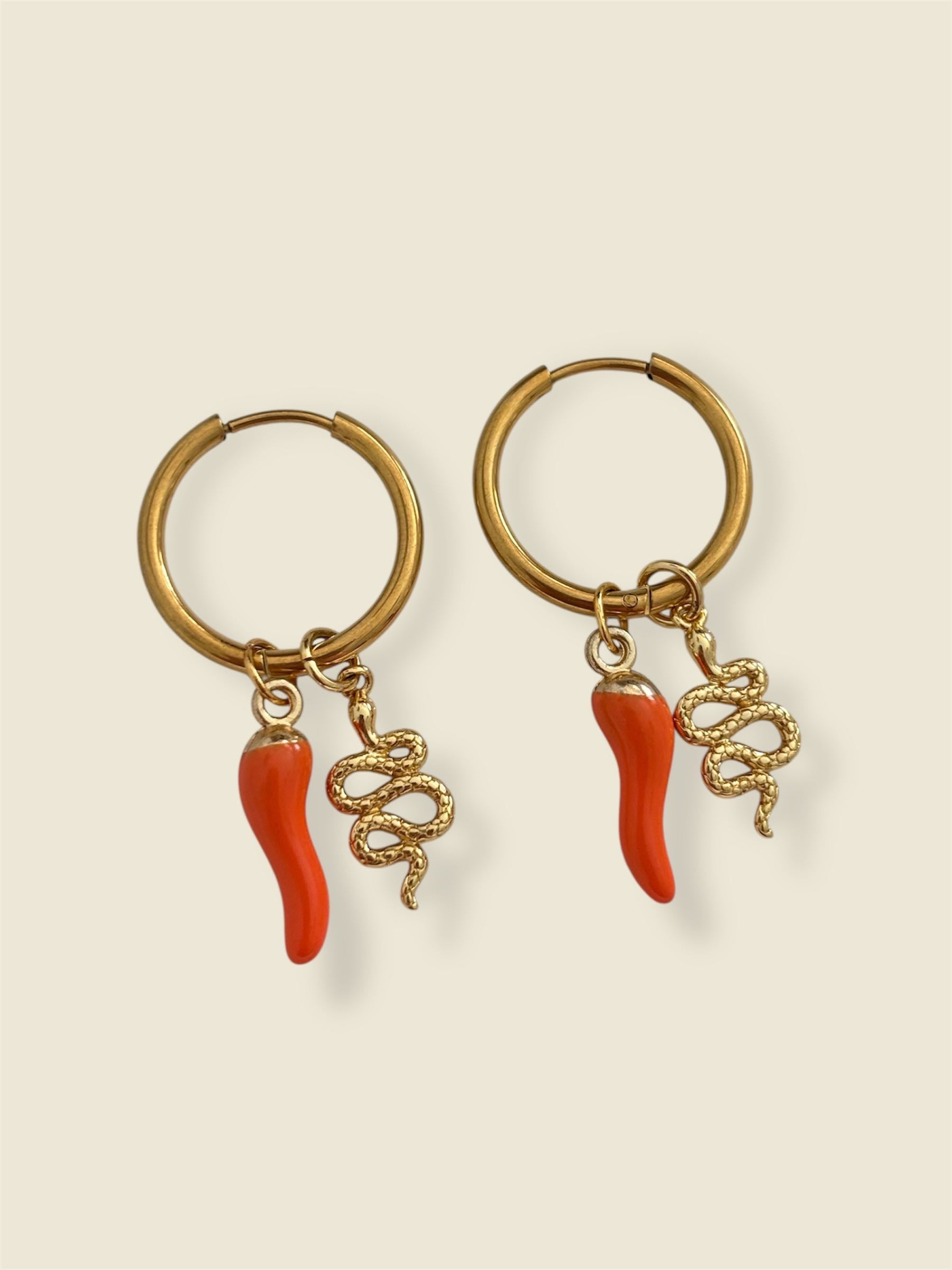 Boucles Charms «JAIPUR»